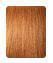 SENSATIONNEL RUWA SPRING TWIST 8" BRAID