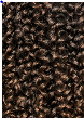 Afri-Naptural 3x Gorgeous Passion Twist 9"/10"/11"