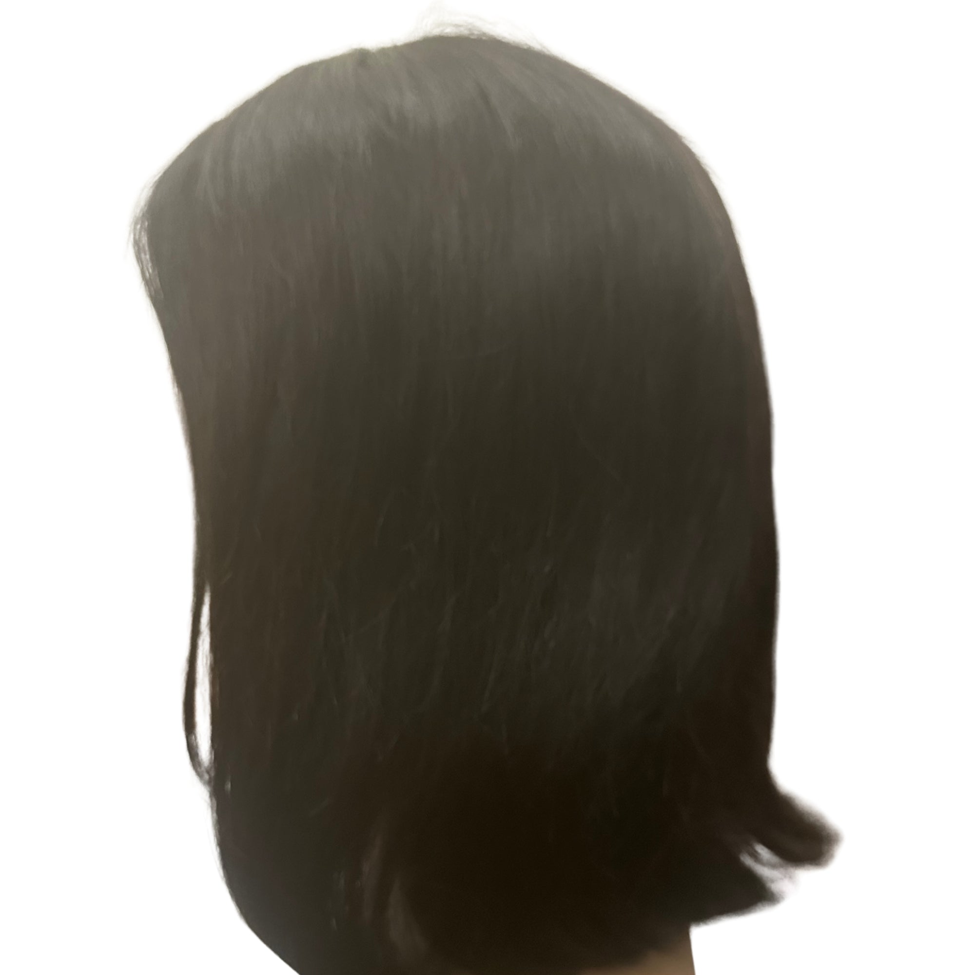 13x4 HD Frontal Wig - 10"