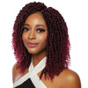 Crochet Passion Twists One Pack 9" 10" 11"